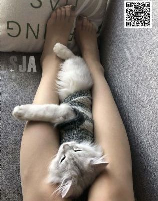 99高清