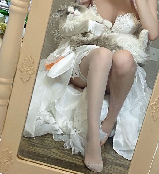 青云志第三部免费播放剧情