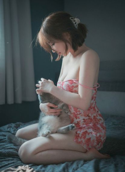 中餐厅第八季免费观看完整版高清