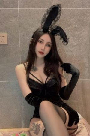 噼里啪啦高清视频在线观看