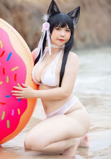 我去哪儿