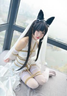 电视剧战狼战狼