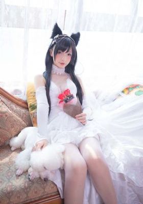 画心师 电视剧