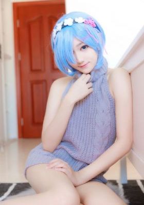 加菲猫家族